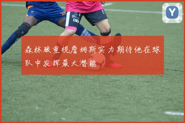 森林狼重视詹姆斯实力期待他在球队中发挥最大潜能