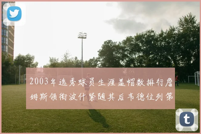 2003年选秀球员生涯盖帽数排行詹姆斯领衔波什紧随其后韦德位列第五