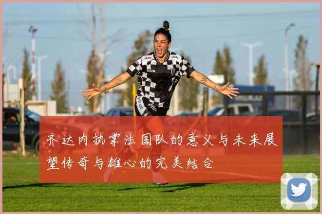 齐达内执掌法国队的意义与未来展望传奇与雄心的完美结合