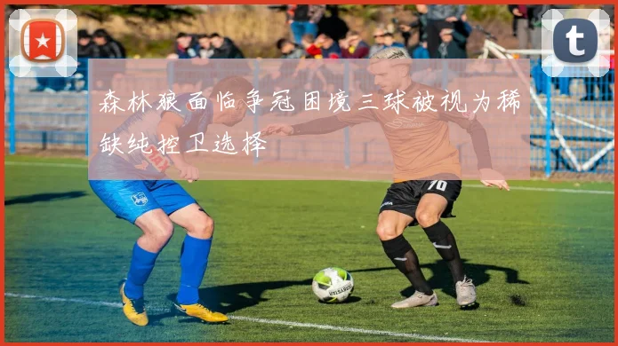 森林狼面临争冠困境三球被视为稀缺纯控卫选择