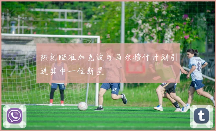 热刺瞄准加克波与马尔穆什计划引进其中一位新星